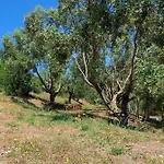 בית נופש Casa Mama