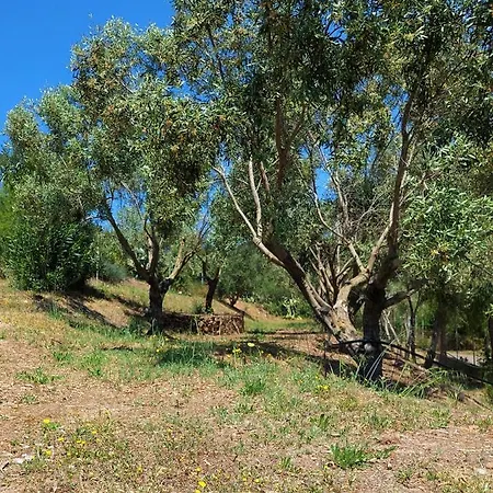 Hébergement de vacances Casa Mamà