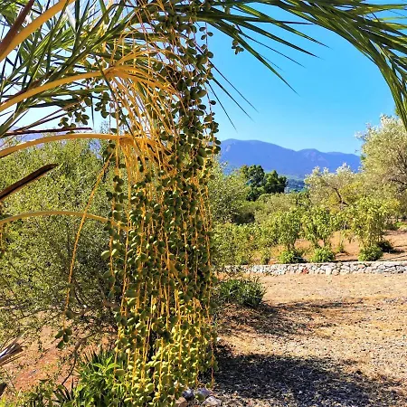 Casa Mama * 포르틱세두