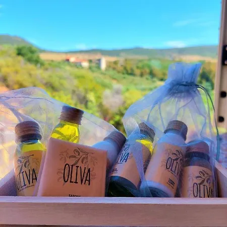 Casa Mamà Casa de Férias Portixeddu